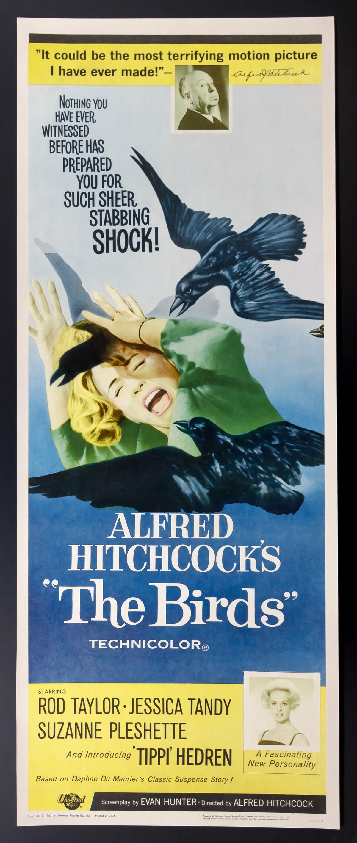 Birds (1963) original movie poster for sale at Original Film Art - Vintage Movie Posters