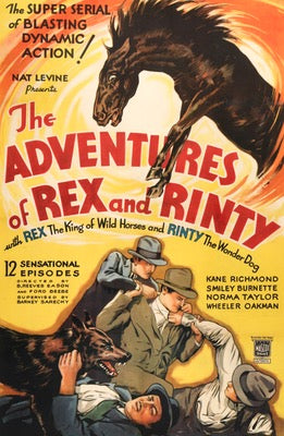 Adventures of Rex and Rinty (1935) original movie poster for sale at Original Film Art