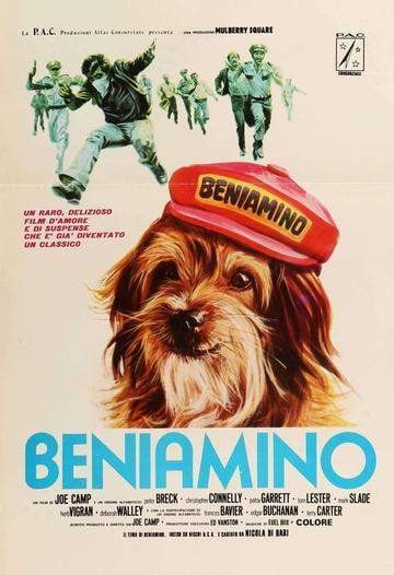 Benji (1974) original movie poster for sale at Original Film Art