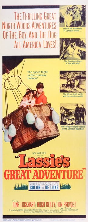 Lassie's Great Adventure (1963) original movie poster for sale at Original Film Art - Vintage Movie Posters